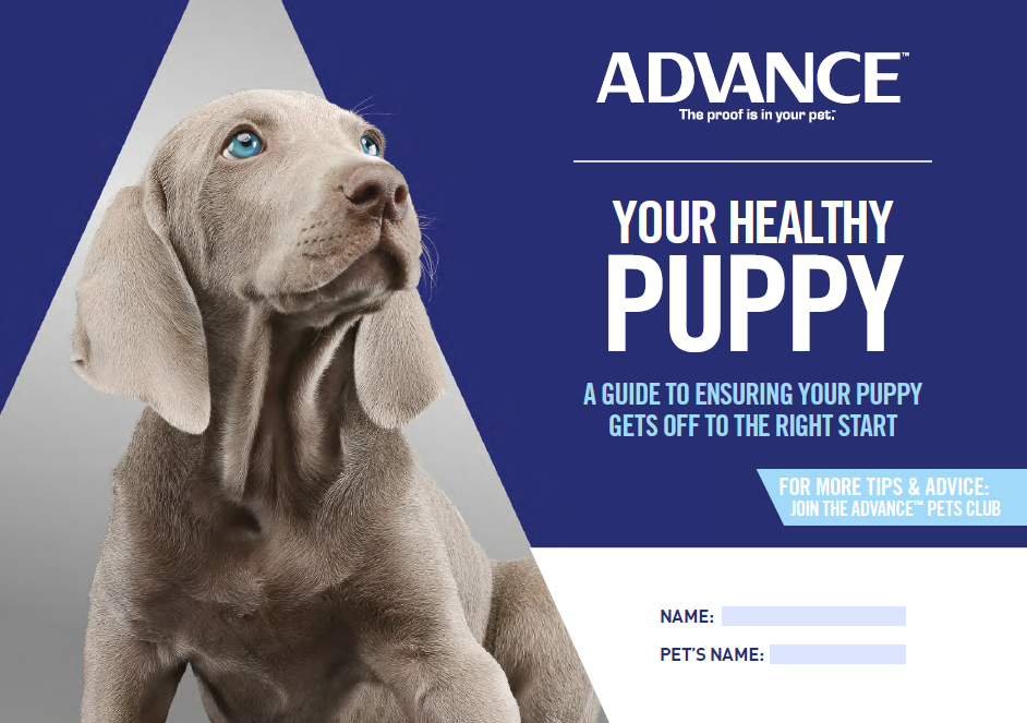 advance pup