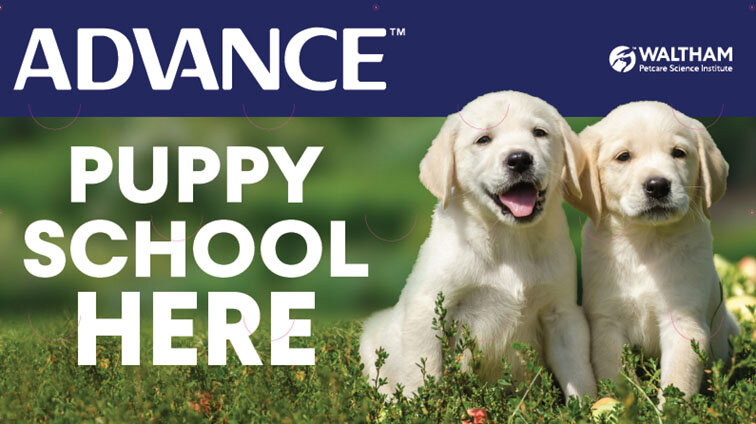 Puppy School+Outdoor+Banner